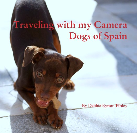 View Traveling with my Camera: 
Dogs of Spain by Debbie Eynon Finley