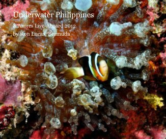 Underwater Philippines book cover