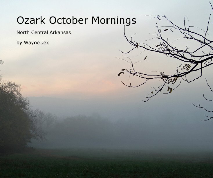View Ozark October Mornings by Wayne Jex