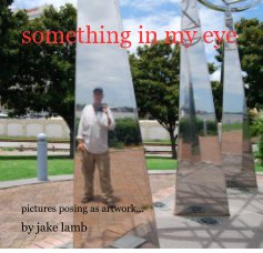 something in my eye book cover