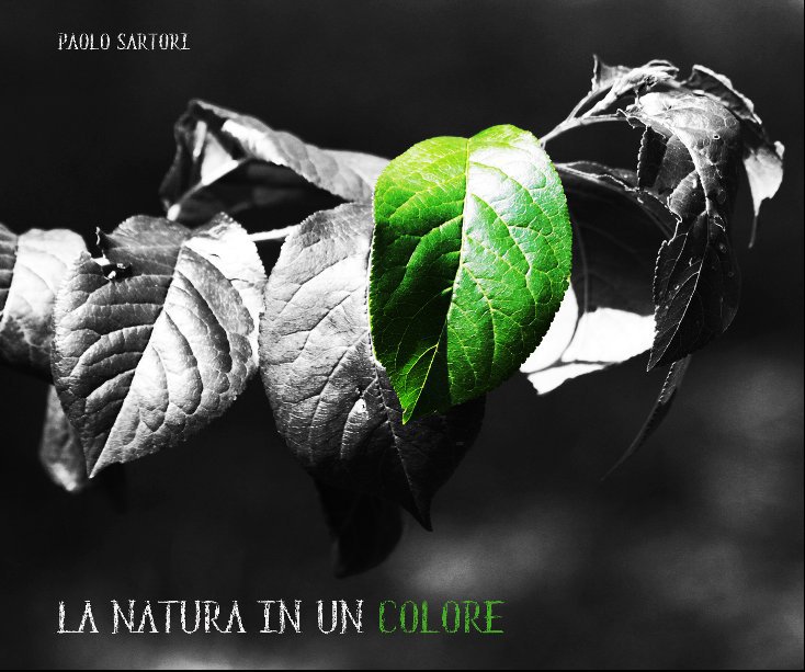 View La natura in un colore by paolo sartori