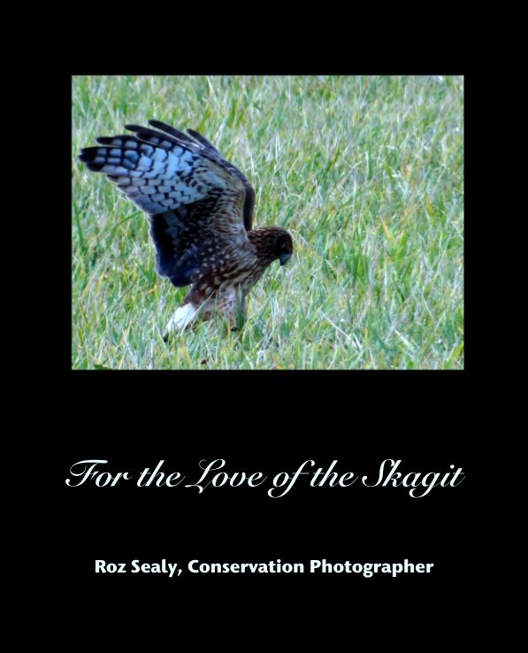 View For the Love of the Skagit by Roz Sealy, Conservation Photographer