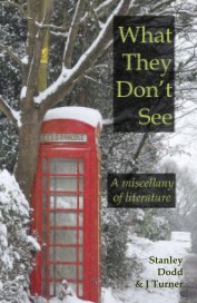 What They Don’t See book cover