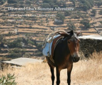 Dave and Lisa's Summer Adventure book cover