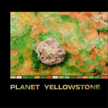Planet Yellowstone book cover