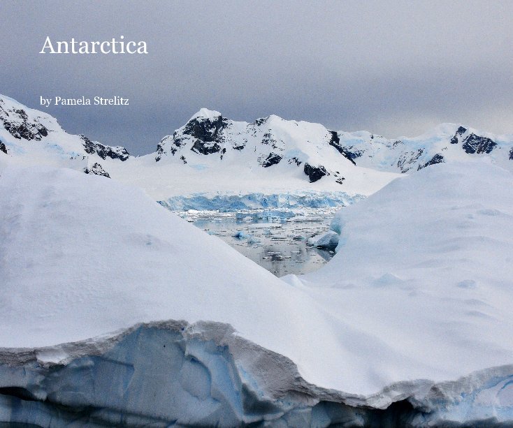 View Antarctica by Pamela Strelitz