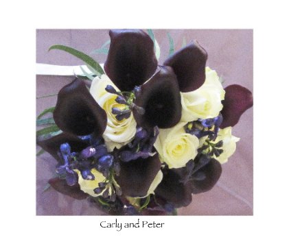 Carly and Peter book cover