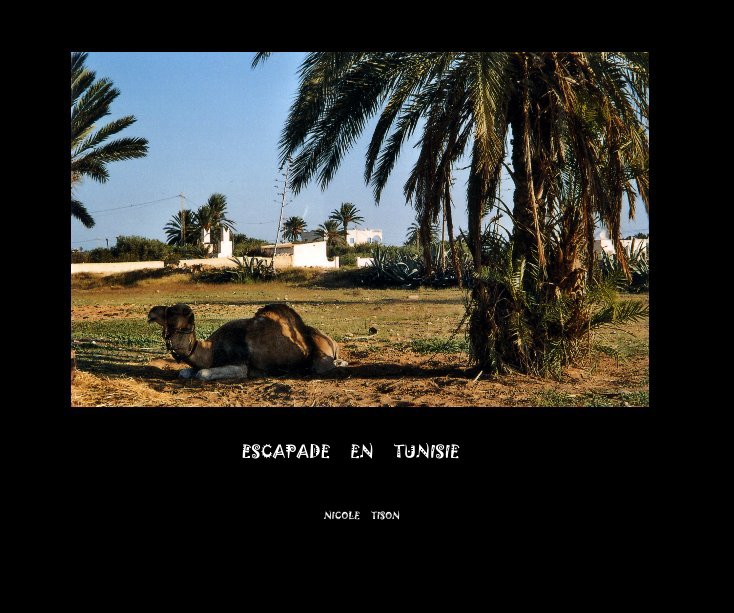 View ESCAPADE EN TUNISIE by NICOLE TISON