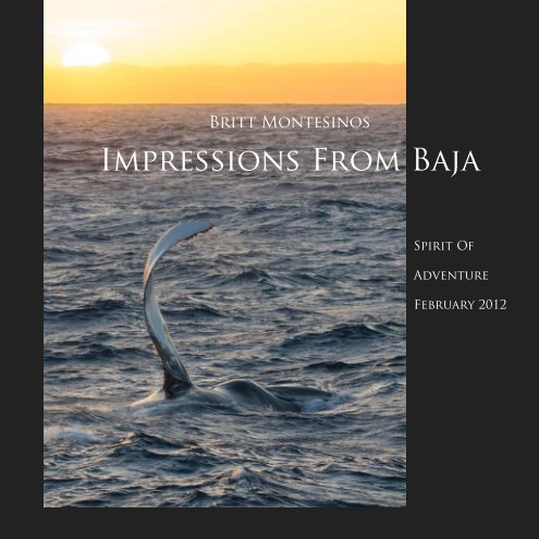 Impressions from Baja nach Britt Montesinos anzeigen