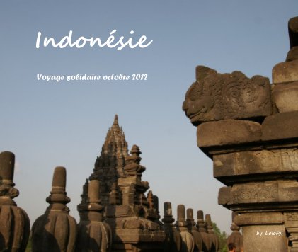 Indonésie book cover