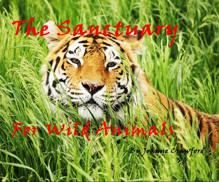 The Sanctuary For Wild Animals By Joanne Crawford nach Joanne Crawford anzeigen