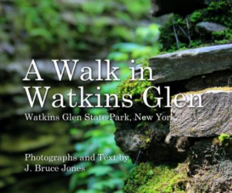 A Walk in Watkins Glen book cover