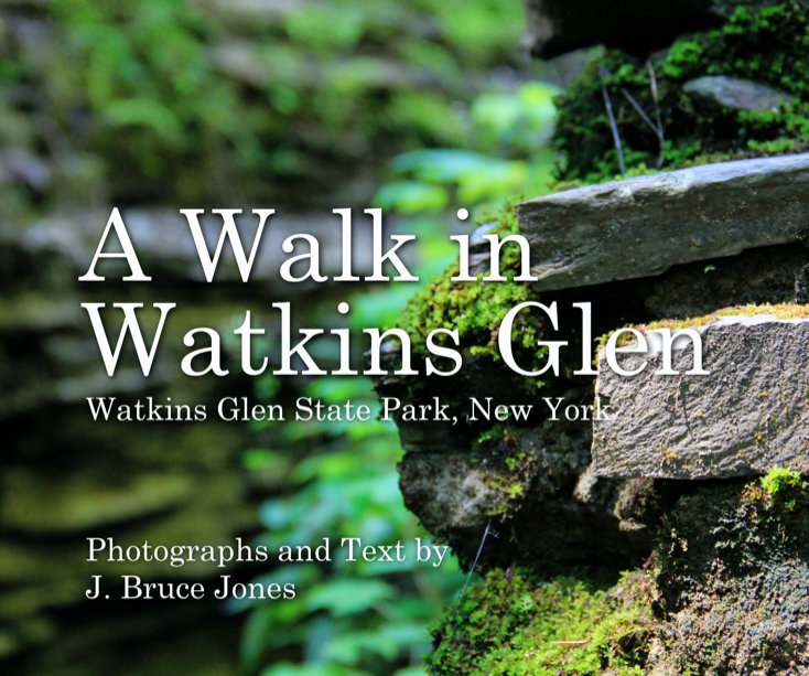 View A Walk in Watkins Glen by J. Bruce Jones