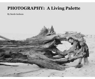 PHOTOGRAPHY: A Living Palette book cover