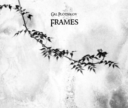 Frames book cover
