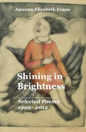 Shining in Brightness book cover