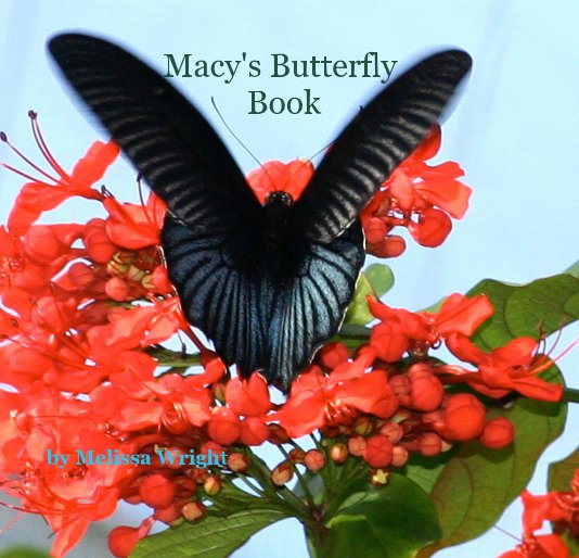 Ver Macy's Butterfly Book por Melissa Wright