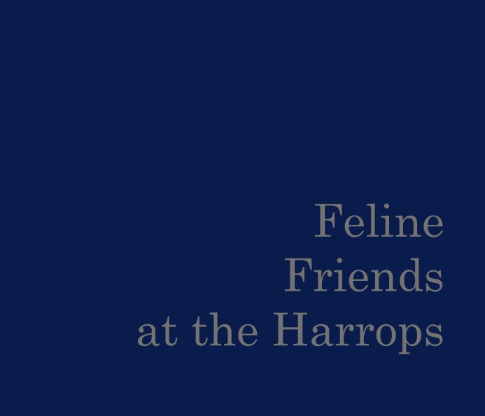View Feline Friends at the Harrops by Christine LeHeup