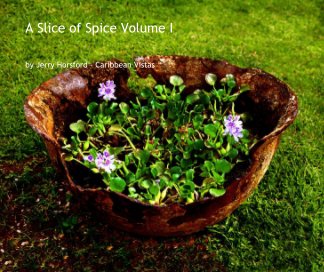A slice of Spice book cover