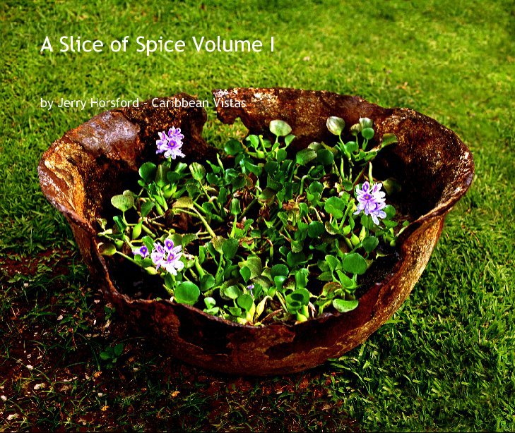 View A slice of Spice by Jerry Horsford