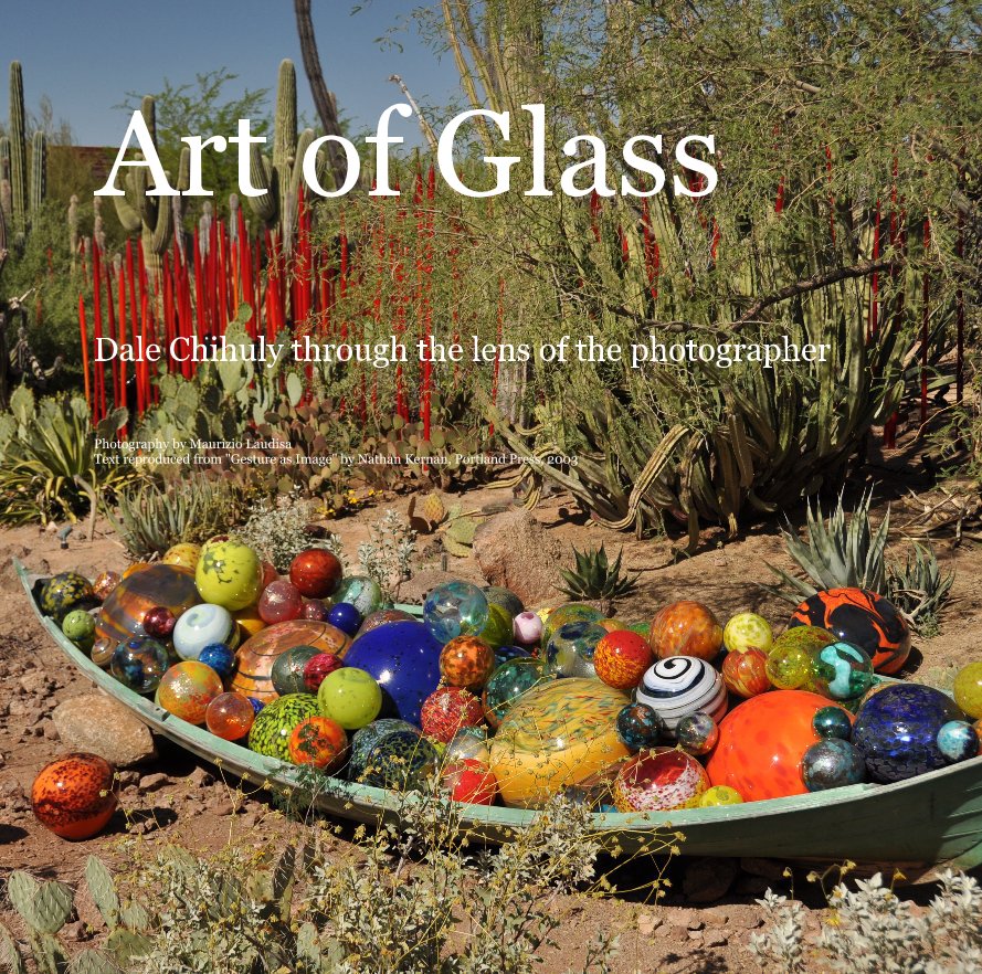 Ver Art of Glass por Photography by Maurizio Laudisa Text reproduced from "Gesture as Image" by Nathan Kernan, Portland Press, 2003