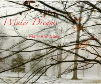Winter Dreams book cover
