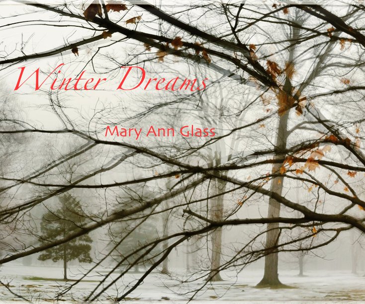 View Winter Dreams by Mary Ann Glass