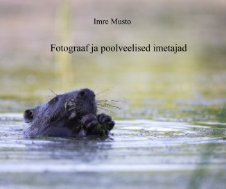 Imre Musto book cover