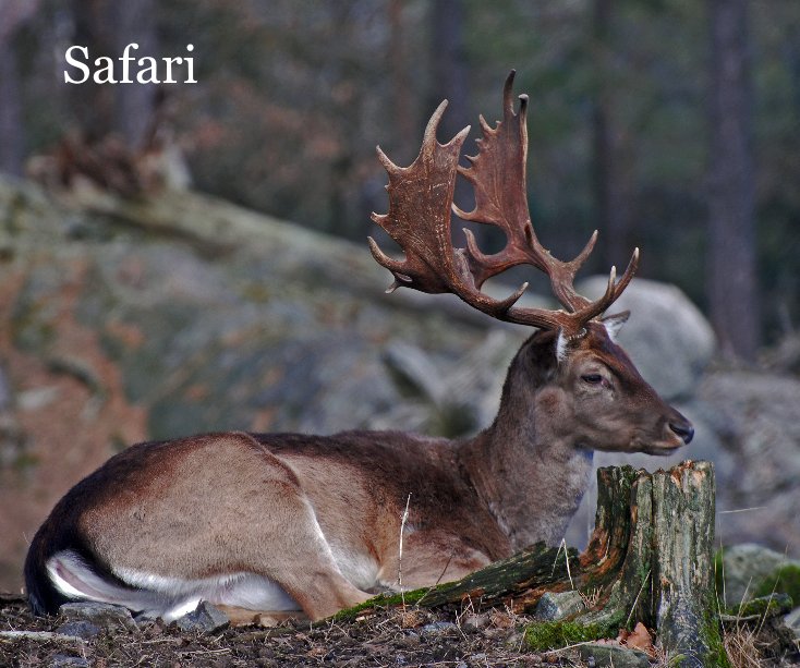 Safari nach johknu anzeigen