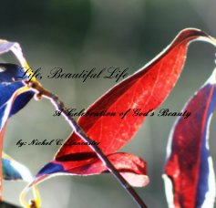 Life, Beautiful Life book cover