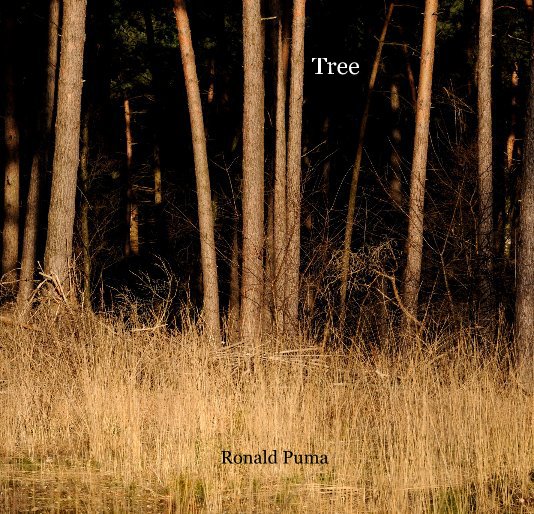 View Tree by Ronald Puma