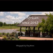 A South African Experience Vol 2 book cover