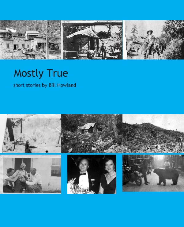 View Mostly True by Bill Howland