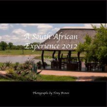 A South African Experience Vol 1 book cover