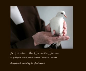 A Tribute to the Carmelite Sisters book cover