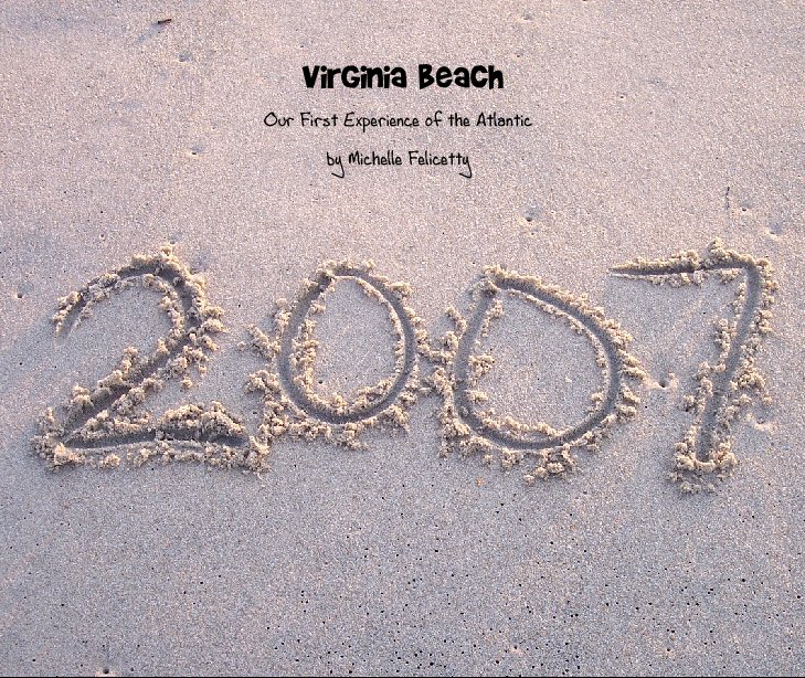 View Virginia Beach by Michelle Felicetty