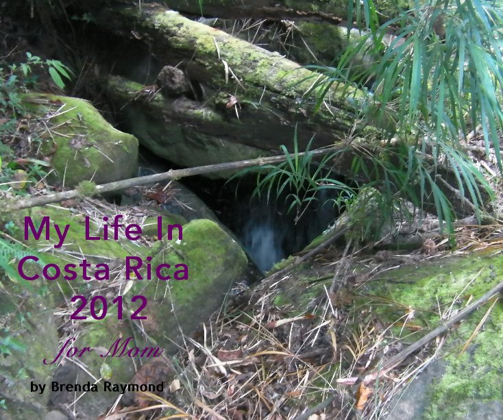 Ver My Life In Costa Rica 2012 por Brenda Raymond
