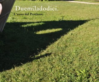 Duemiladodici. book cover