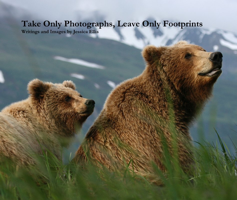 Take Only Photographs, Leave Only Footprints Writings and Images by Jessica Ellis nach jeellis anzeigen
