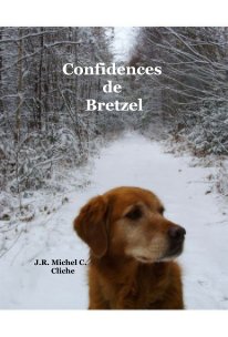 Confidences de Bretzel book cover