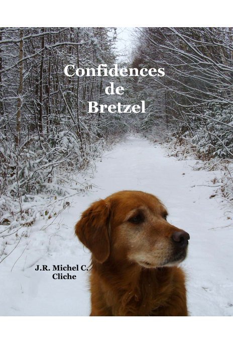 Visualizza Confidences de Bretzel di J.R. Michel C. Cliche