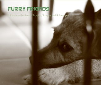 Furry Friends book cover