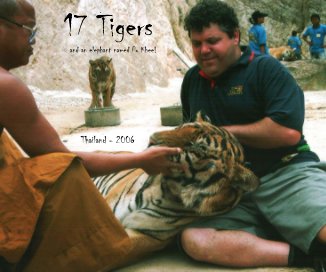 17 Tigers book cover