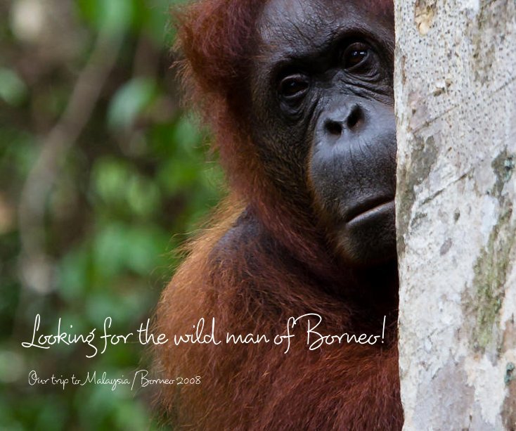 Looking for the wild man of Borneo! nach Our trip to Malaysia /Borneo 2008 anzeigen