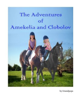 The Adventures of Amekelia and Clobolov book cover