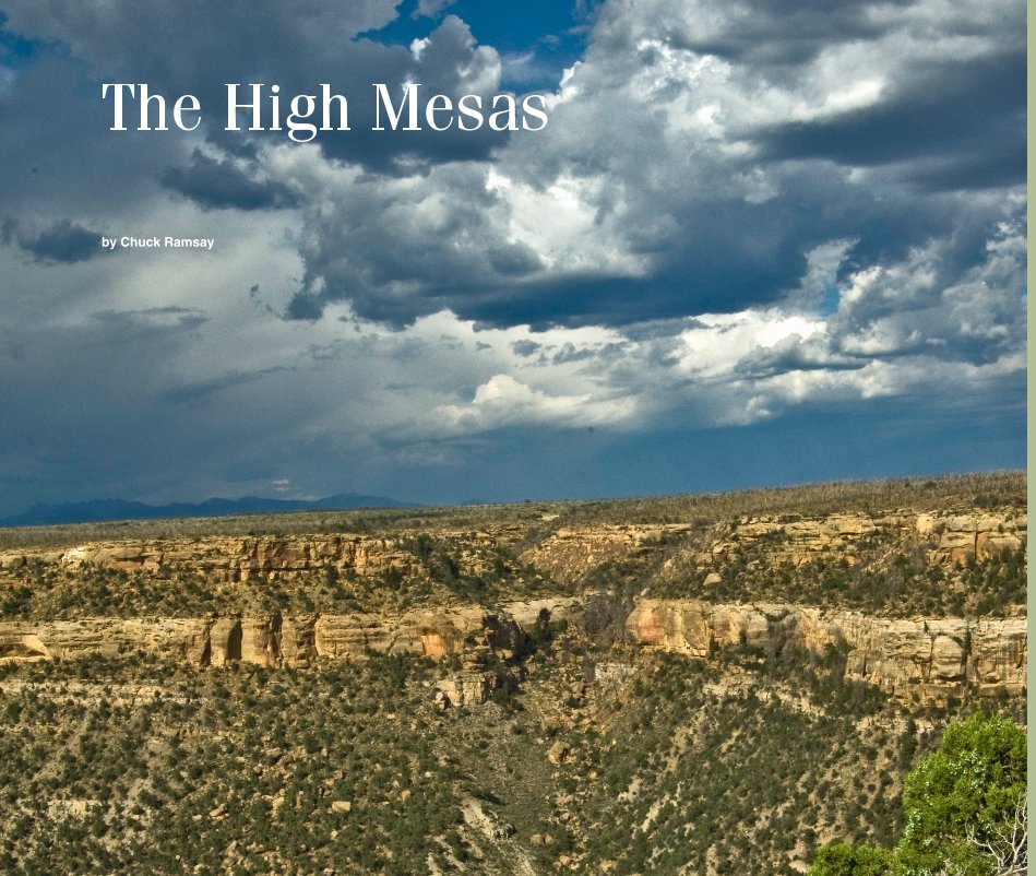 View The High Mesas by Chuck Ramsay