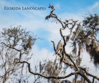 Florida Landscapes book cover