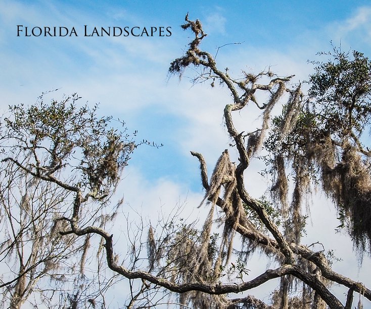 View Florida Landscapes by Victor Bloomfield