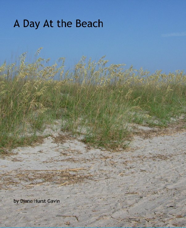 View A Day At the Beach by Diane Hurst Gavin