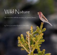 Wild Nature book cover